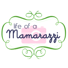 Life of a Mamarazzi