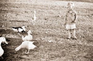 Fynn's New Friends